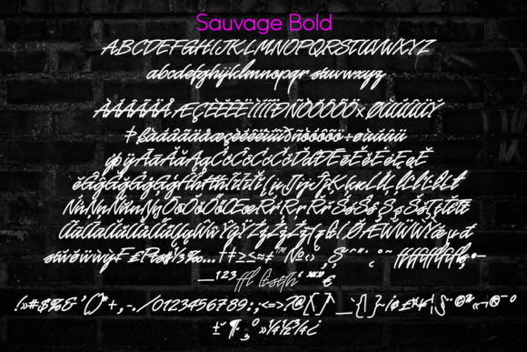 Sauvage Neon Script Font Poster 6