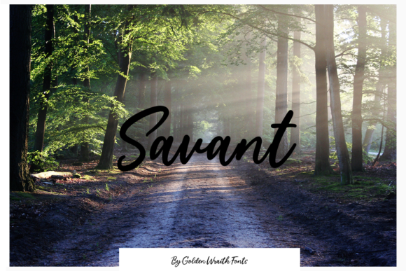 Savant Font Poster 1