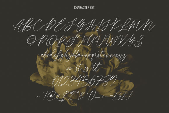 Seillamikha Font Poster 8