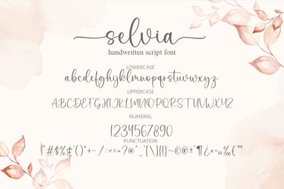 Selvia Font Poster 5