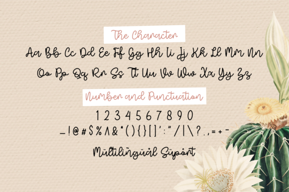 Semi Nice Font Poster 6