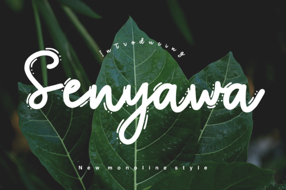 Senyawa Font Poster 7