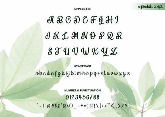 Sepindah Duo Font Poster 11