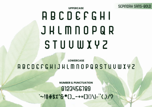 Sepindah Duo Font Poster 6