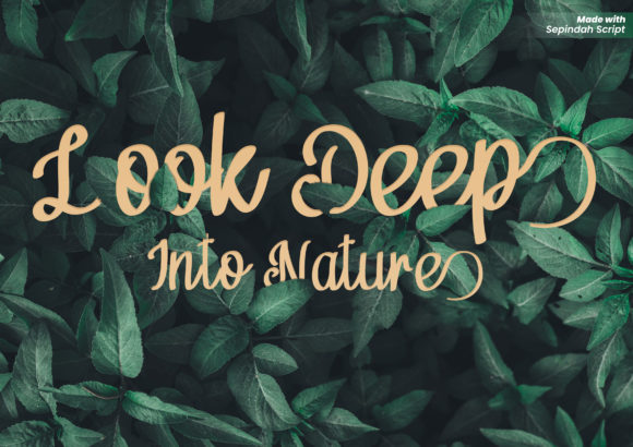 Sepindah Duo Font Poster 8