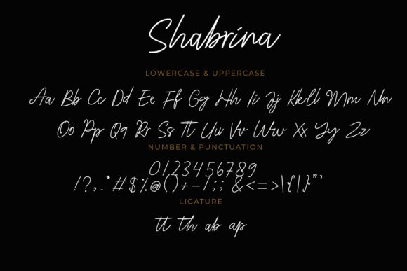 Shabrina Font Poster 5