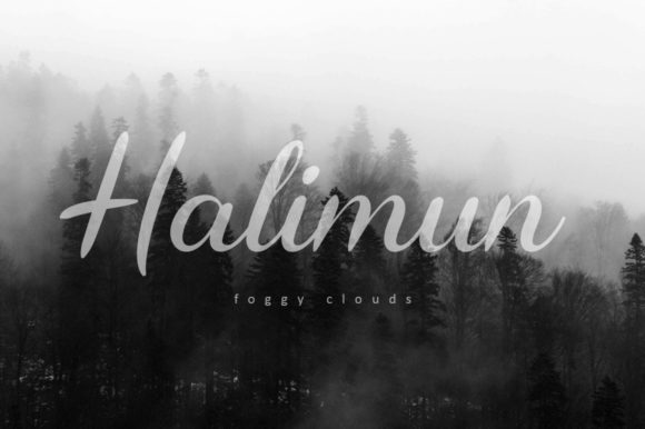 Shaila Font Poster 5