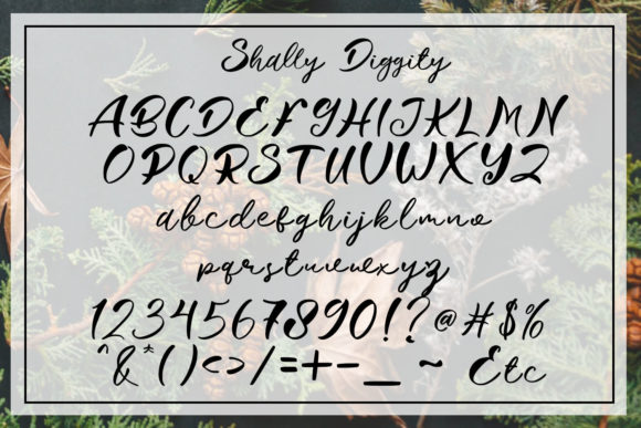 Shally Diggity Font Poster 5