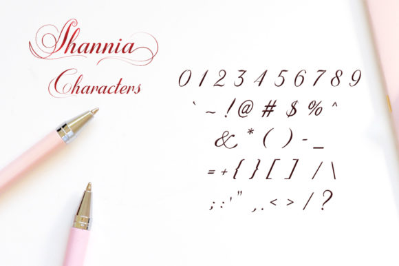 Shannia Font Poster 15