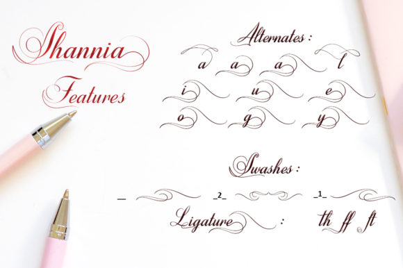 Shannia Font Poster 16