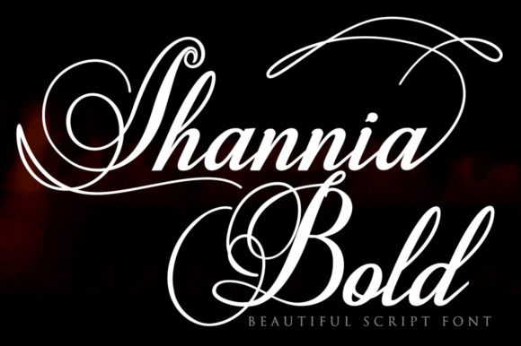 Shannia Bold Font Poster 1