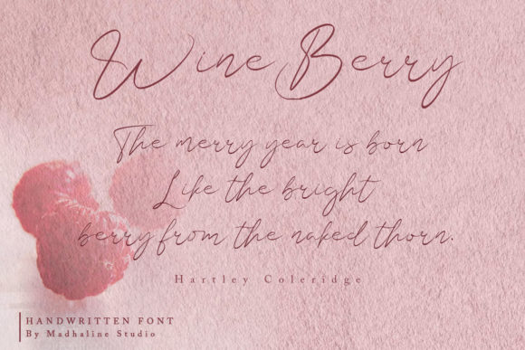Shasta Daily Font Poster 7