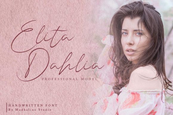 Shasta Daily Font Poster 8