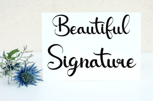 Shellina Font Poster 4