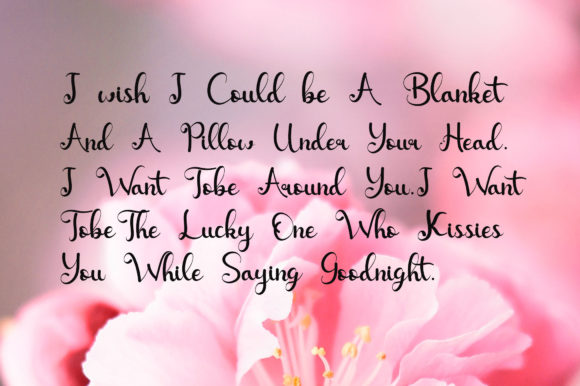 Shellina Font Poster 5