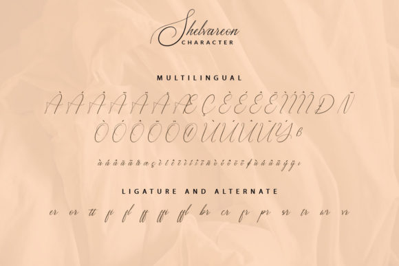Shelvareon Font Poster 9