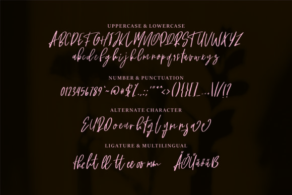 Sherapina Font Poster 6