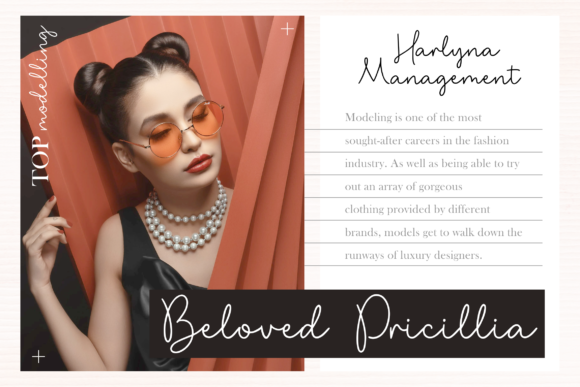 Shibalady Font Poster 2