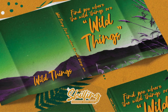 Shilling Font Poster 4