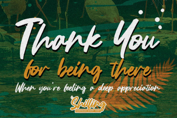 Shilling Font Poster 8