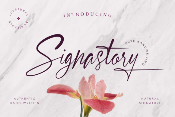 Signastory Font Poster 1