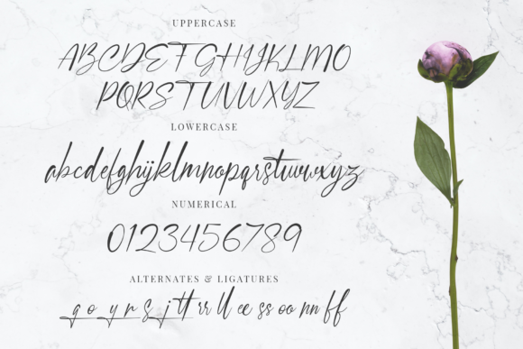 Signastory Font Poster 8