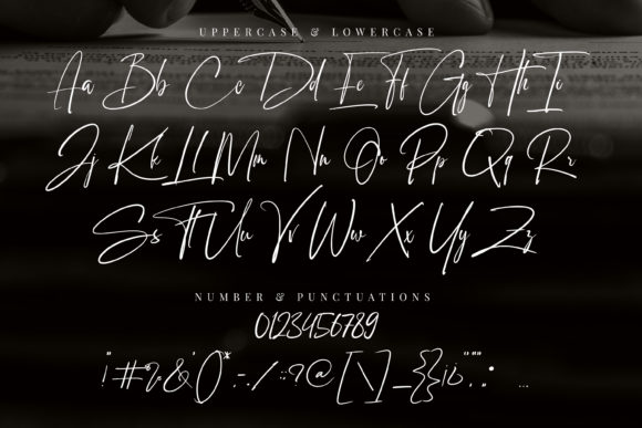 Signattimes Font Poster 8