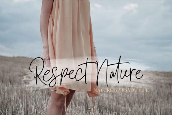 Signatural Font Poster 5