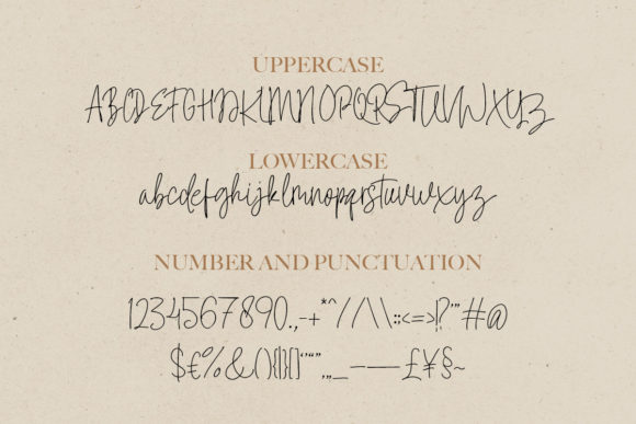 Signatural Font Poster 6