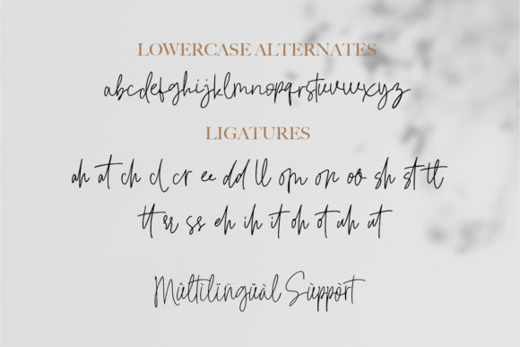 Signatural Font Poster 7