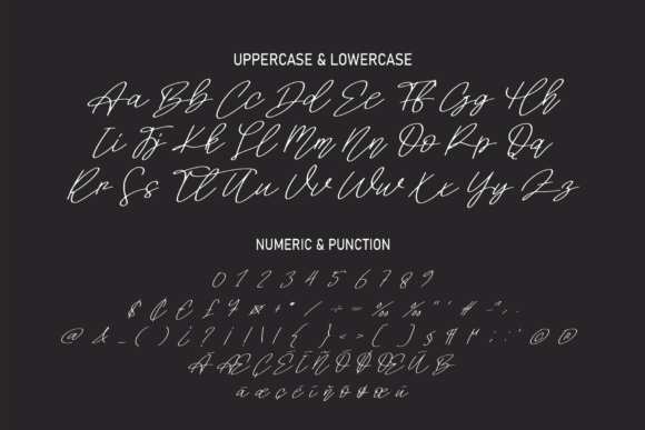 Signature Holiday Font Poster 8