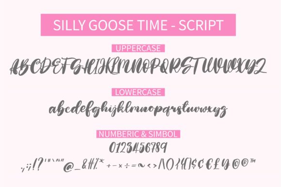 Silly Goose Time Font Poster 4