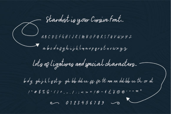 Silver & Stardust Duo Font Poster 4