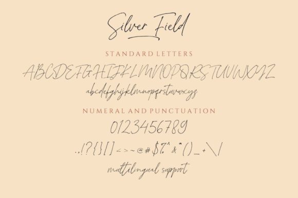 Silver Fields Font Poster 11