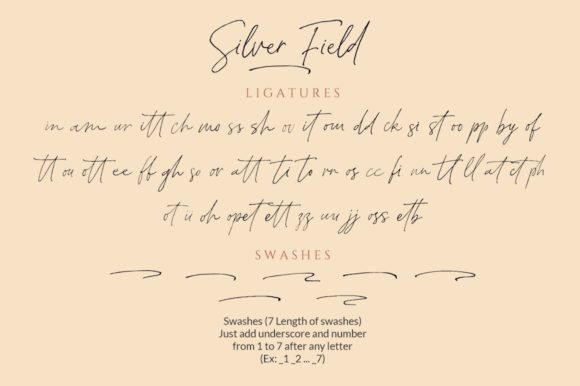 Silver Fields Font Poster 12