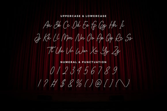 Single One Font Poster 3