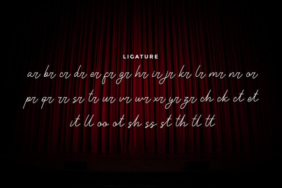 Single One Font Poster 4