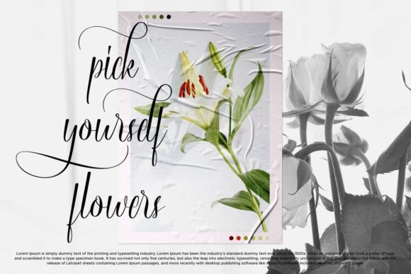 Sinta Magenta Font Poster 9