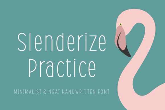 Slenderize Practice Font Poster 1