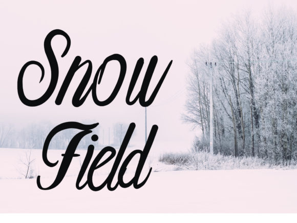 Snow Pile Font Poster 2