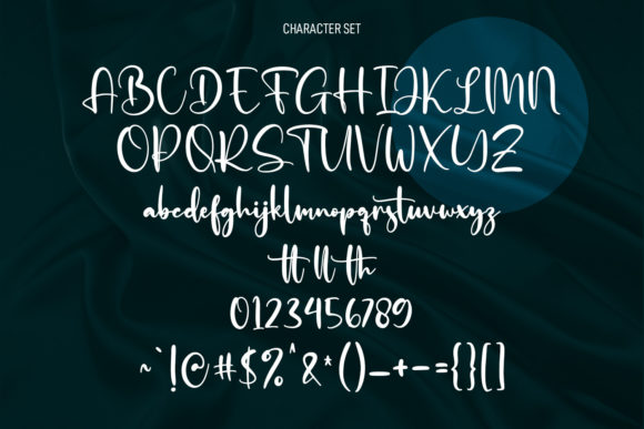 Solovista Signature Script Font Poster 8