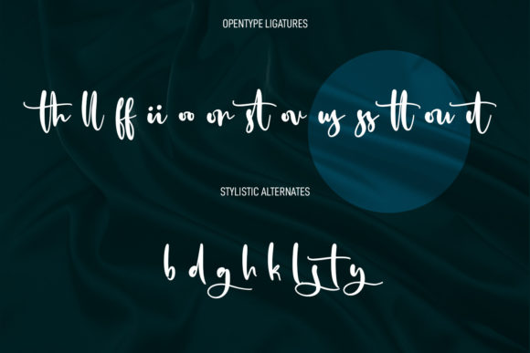 Solovista Signature Script Font Poster 9