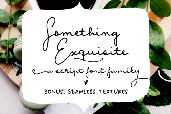 Something Exquisite Font Poster 1