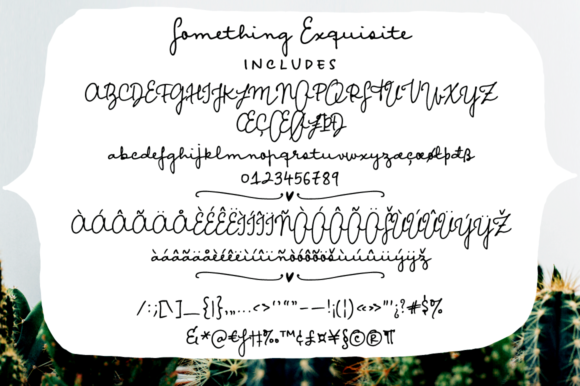Something Exquisite Font Poster 2