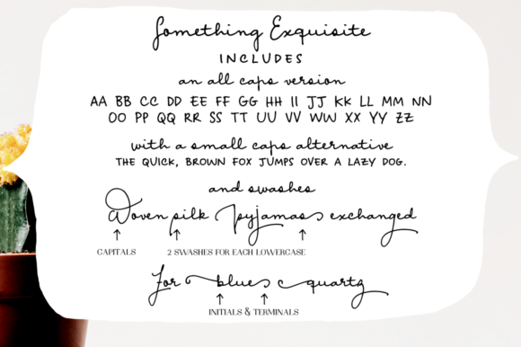 Something Exquisite Font Poster 4