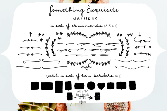 Something Exquisite Font Poster 6