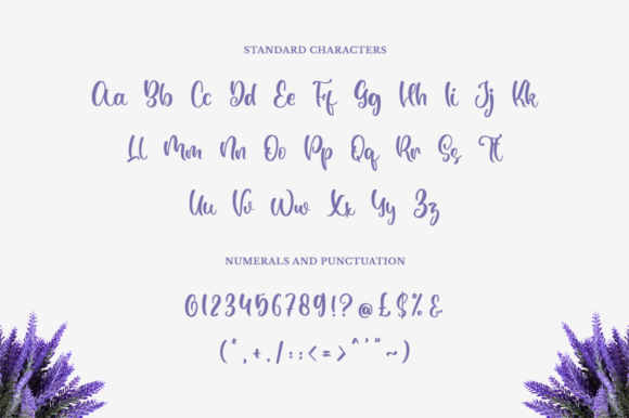 Sonelia Font Poster 9