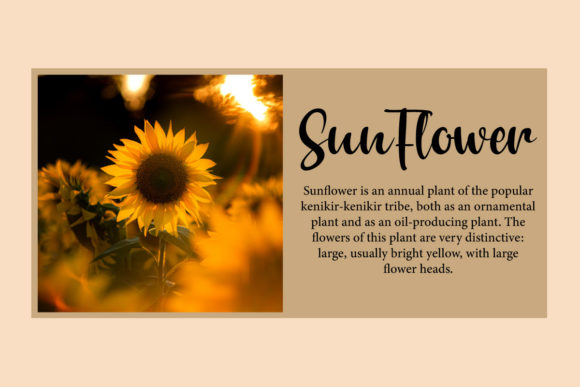 Soulfully Font Poster 8