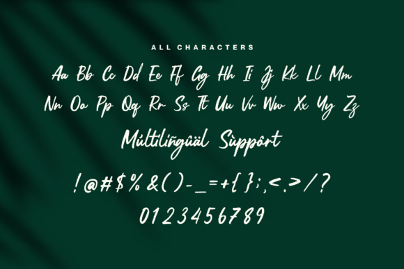 Soulyouth Font Poster 9