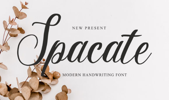 Spacate Font Poster 1